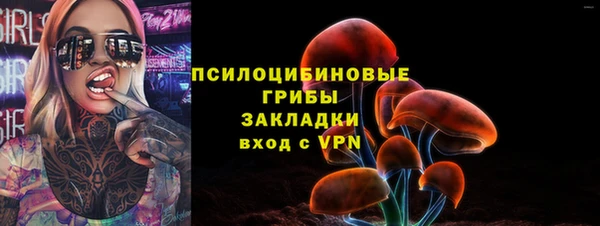 кокаин Богданович