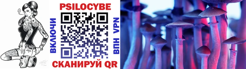 Купить где  Ветлуга  Псилоцибиновые грибы ЛСД 